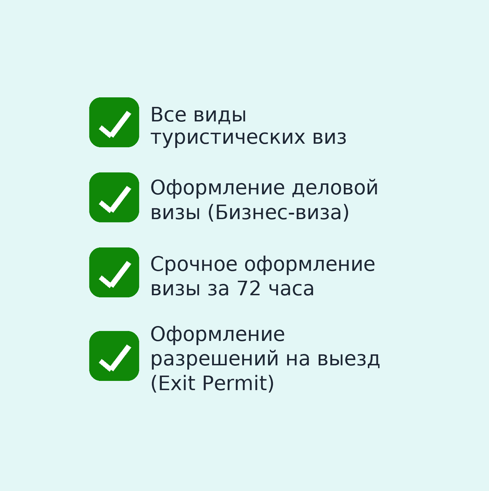 Виза в Индию под ключ